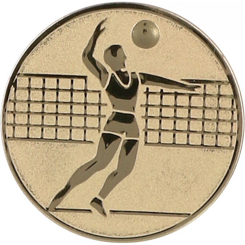 Aluminium Emblem/ Volleyball